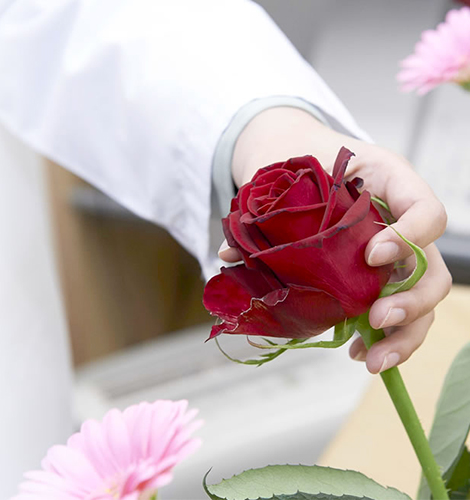 お花のストレスをなくすために